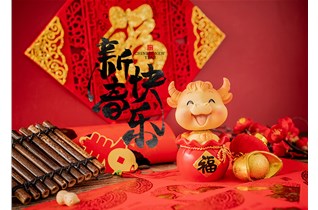 华施特（大连）防锈科技有限公司祝大家春节快乐！